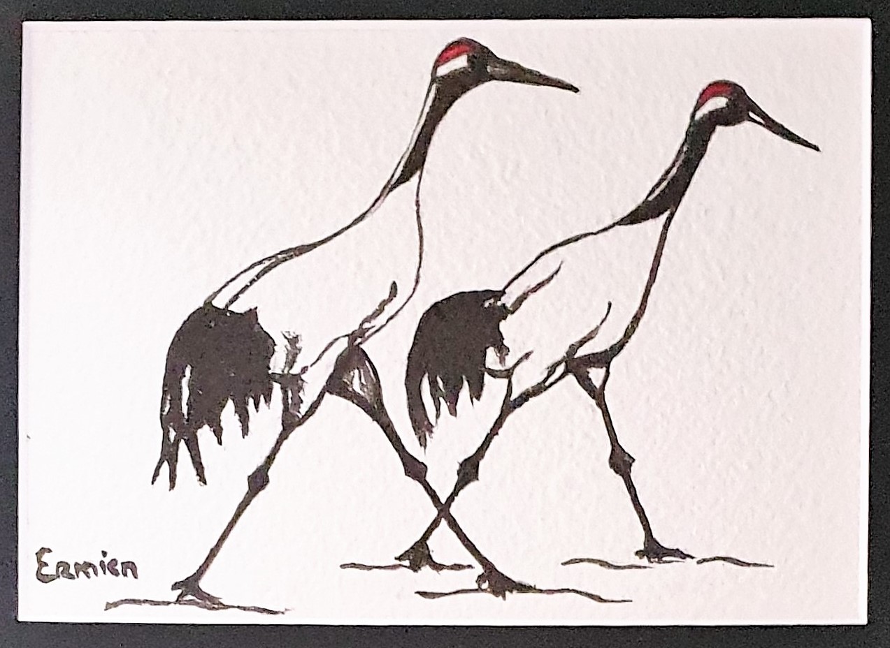 Lopende kraanvogels